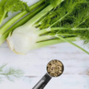 茴香 Fennel