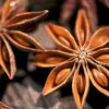 八角 Star Anise