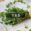 百裏香 Thyme