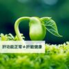肝功能正常不代表肝臟健康，請馬上拋棄這個錯誤認知！